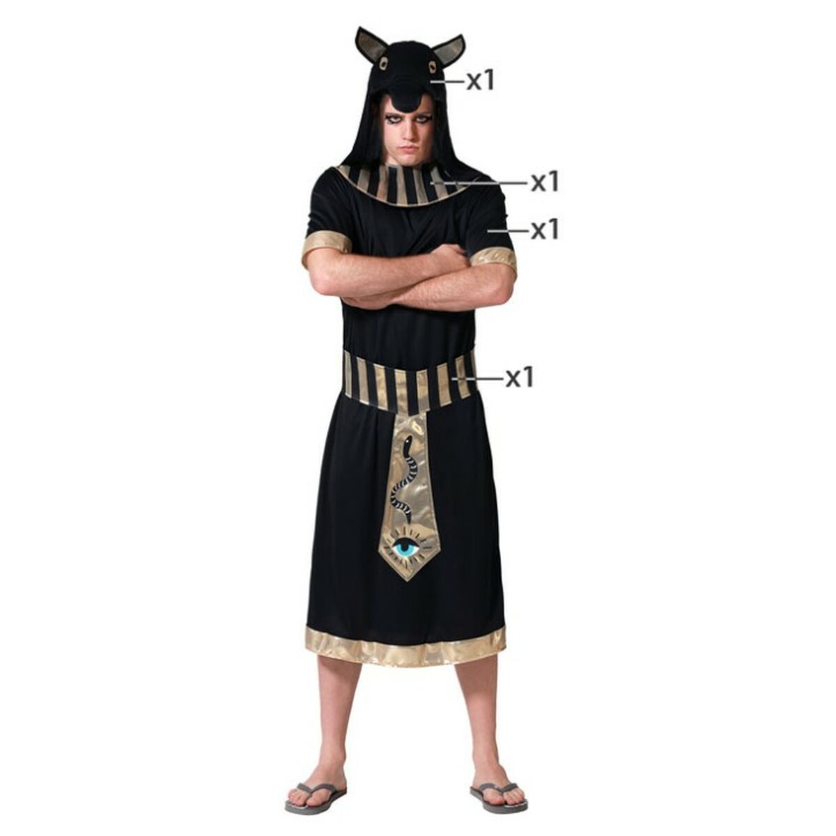 En vuxen man bär en svart egyptisk maskeraddräkt med gulddetaljer och en huva som liknar Anubis huvud, poserande med armarna i kors.