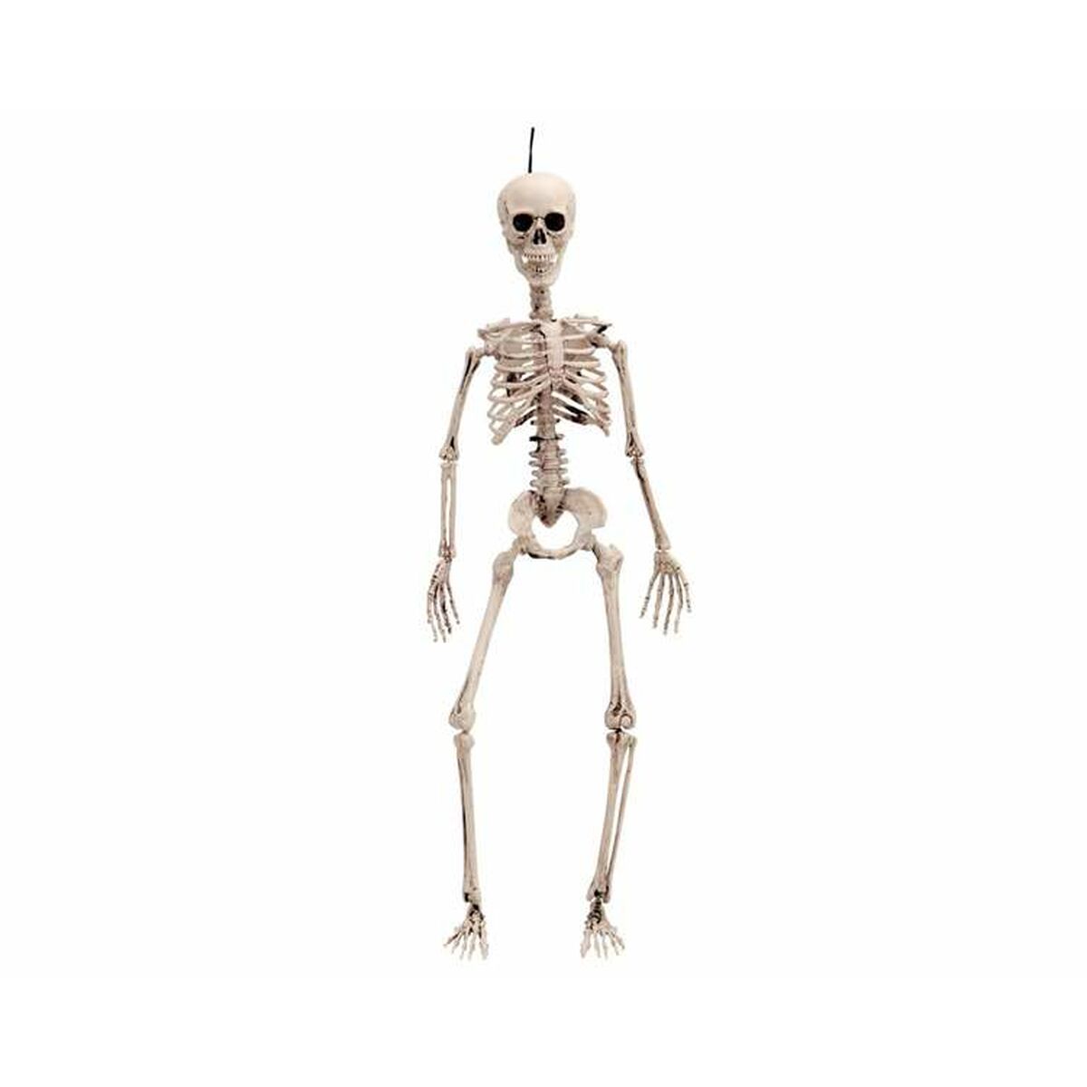 Ett komplett, ledad halloweenskelett i plast, cirka 49 cm långt, hänger i en tråd från toppen av sin dödskalle.