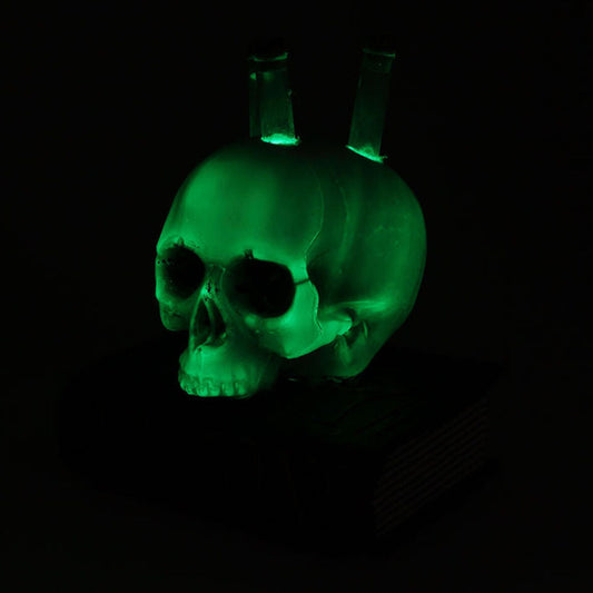 Dödskalle och bok sedd i mörker, där dödskallen och provrören lyser med ett kusligt, grönt sken.