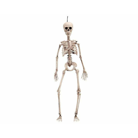 Ett komplett, ledad halloweenskelett i plast, cirka 49 cm långt, hänger i en tråd från toppen av sin dödskalle.