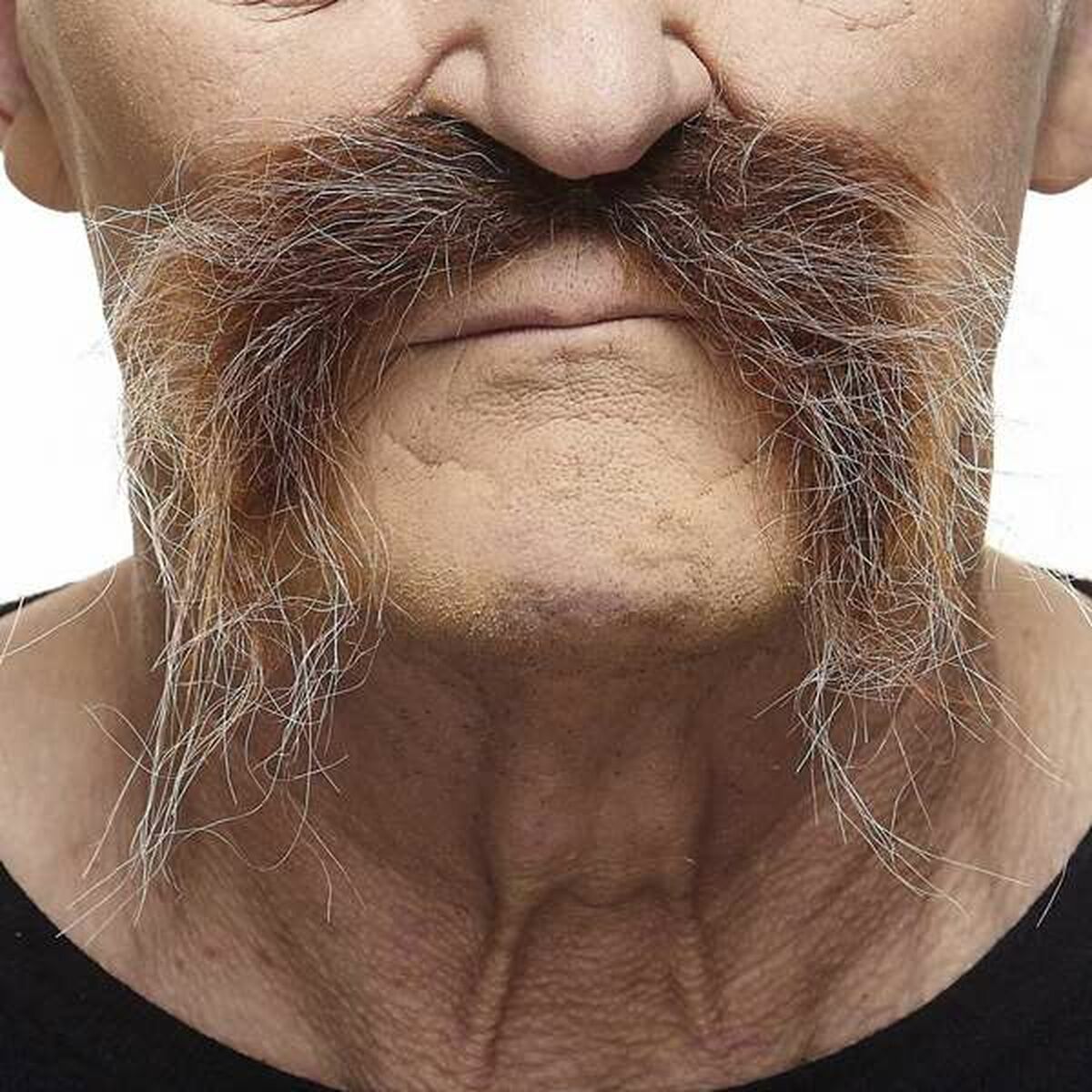 Närbild på en mustasch i brunt och grått, fäst på en persons överläpp, med långa, vilda polisonger som hänger ner mot hakan.