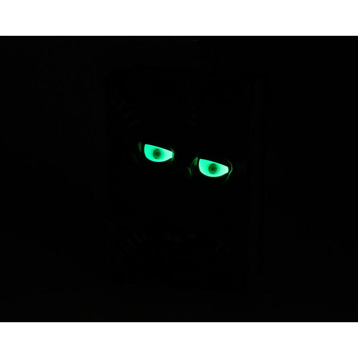 De kusliga ögonen på monsterboken lyser med ett starkt, grönt sken i totalt mörker.