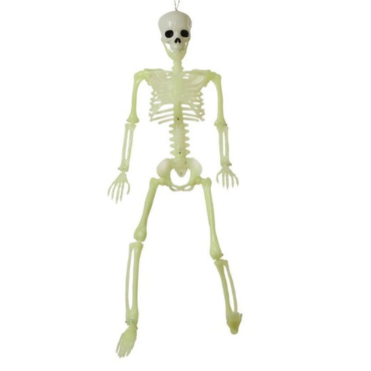 Klassiskt plastsklett i naturlig storlek med öglor för upphängning. Skelettet är ljusgrönt och laddas av ljus för att lysa i mörker.