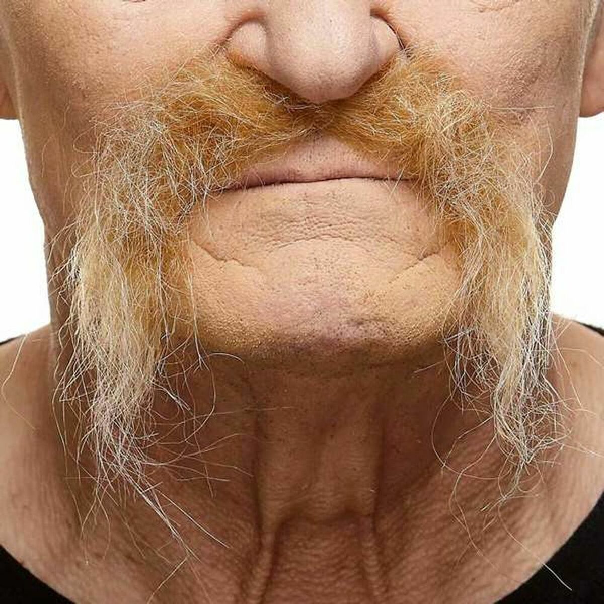 Närbild på en vildvuxen och yvig, blond och hängande biker-mustasch på en man.